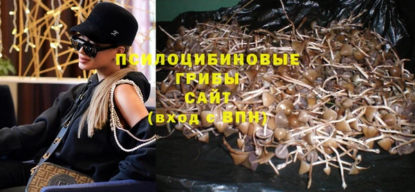 твердый Алексеевка