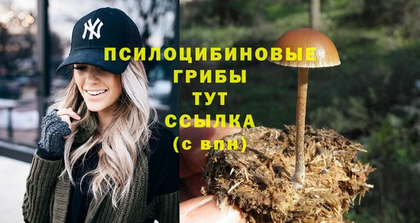 твердый Алексеевка