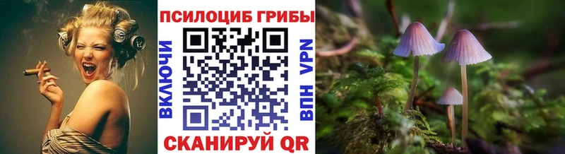 Псилоцибиновые грибы ЛСД  Андреаполь 